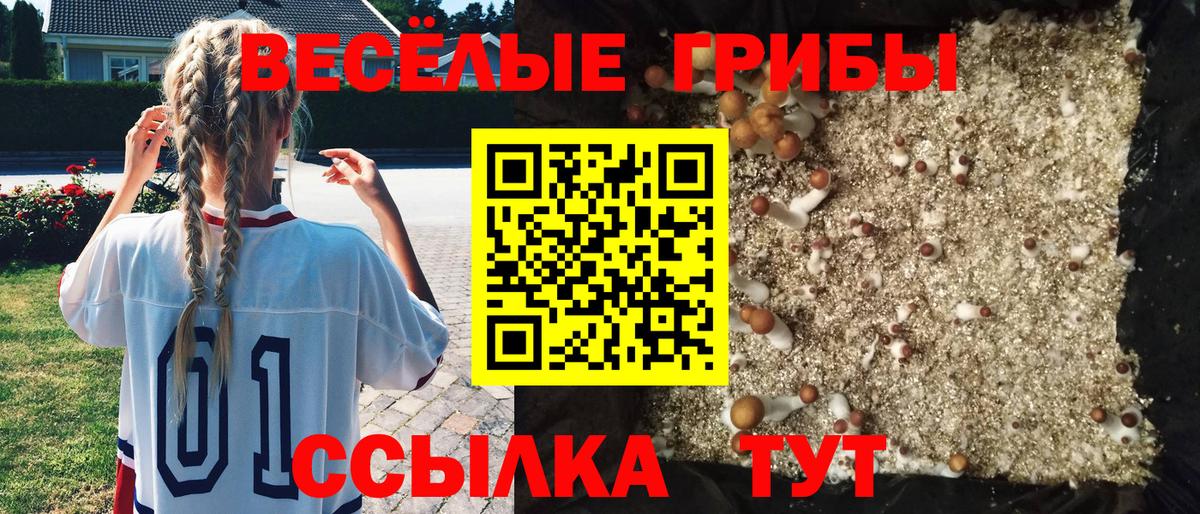Псилоцибиновые грибы Psilocybine cubensis Янаул
